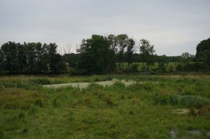 Vårmarknad