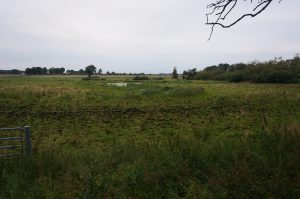 Vårmarknad