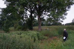 Vårmarknad