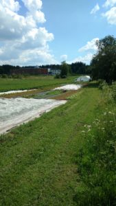 Vårmarknad